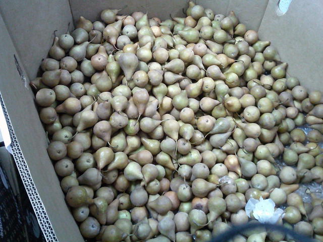 Cardboard container filled with pears.